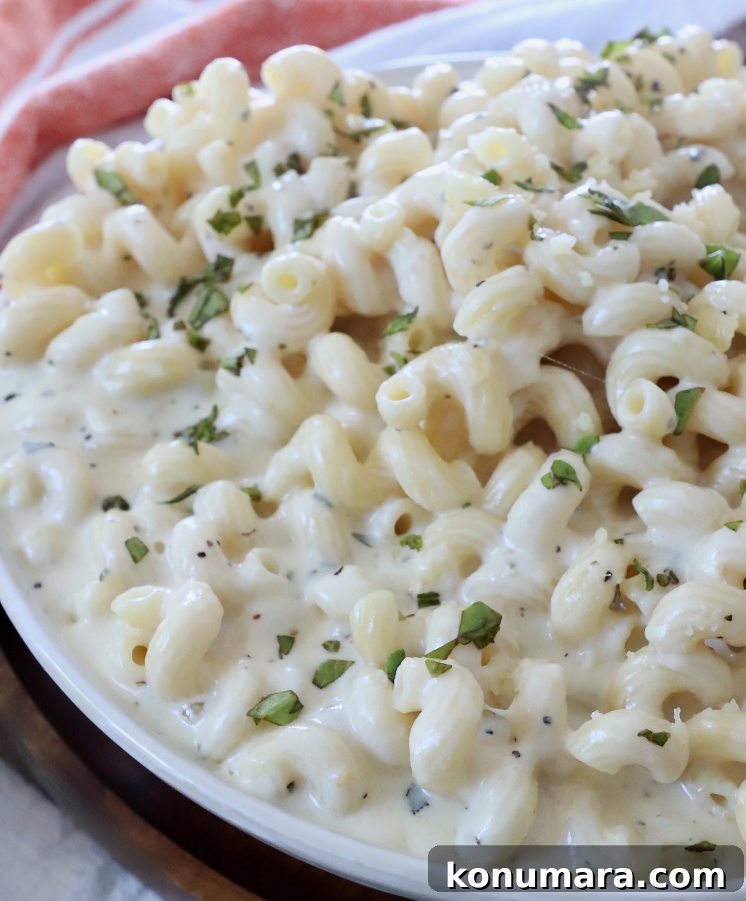 pasta in creamy sauce in bowl