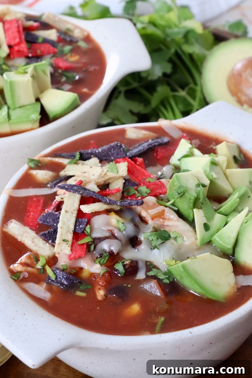 Southwest Chicken Soup Recipe with Corn and Black Beans 2 soup in bowl topped with tortilla strips and diced avocado