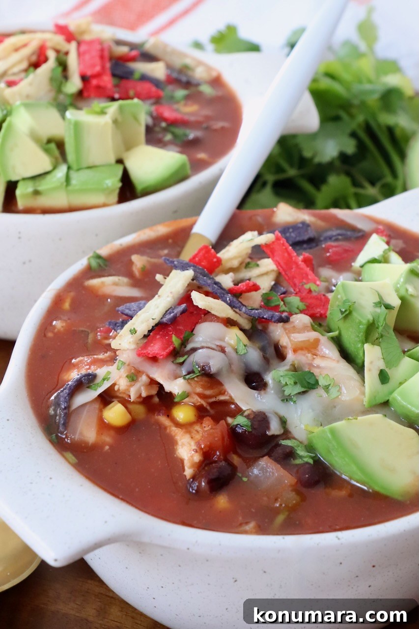 Southwest Chicken Soup Recipe with Corn and Black Beans 6 southwest chicken soup in bowl with spoon