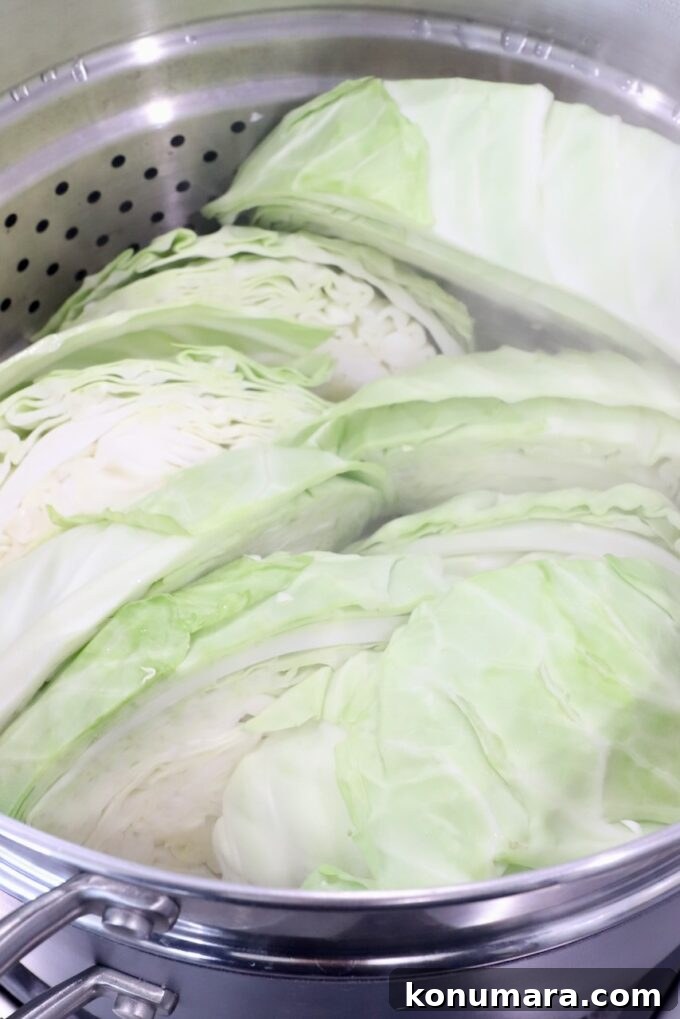How to Make Tender Steamed Cabbage 5 wedges of cabbage in steamer basket in pot