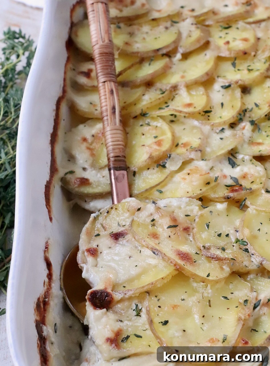 Creamy Garlic and Cheese Scalloped Potatoes Recipe 2 cooked scalloped potatoes in baking dish with serving spoon