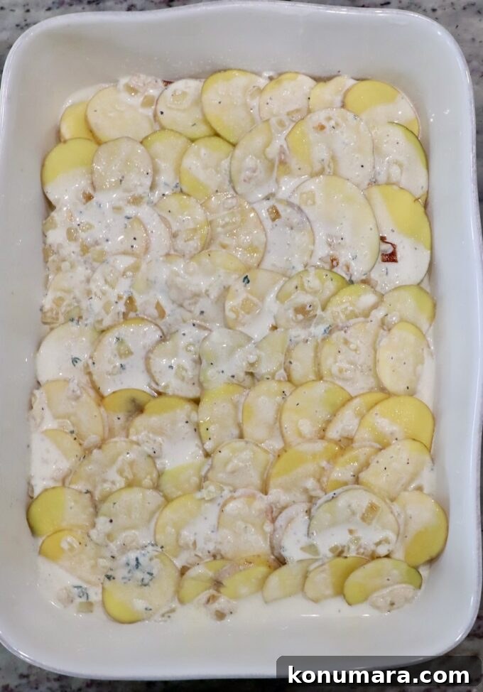 Creamy Garlic and Cheese Scalloped Potatoes Recipe 8 thinly sliced potatoes in baking dish covered with a creamy sauce
