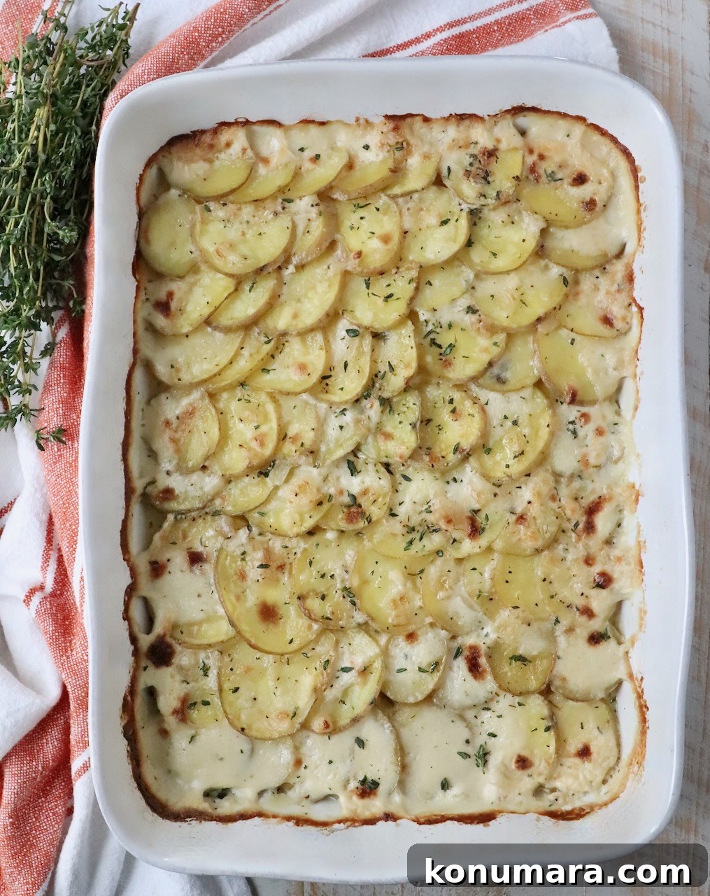 Creamy Garlic and Cheese Scalloped Potatoes Recipe 9 cooked scalloped potatoes in baking dish