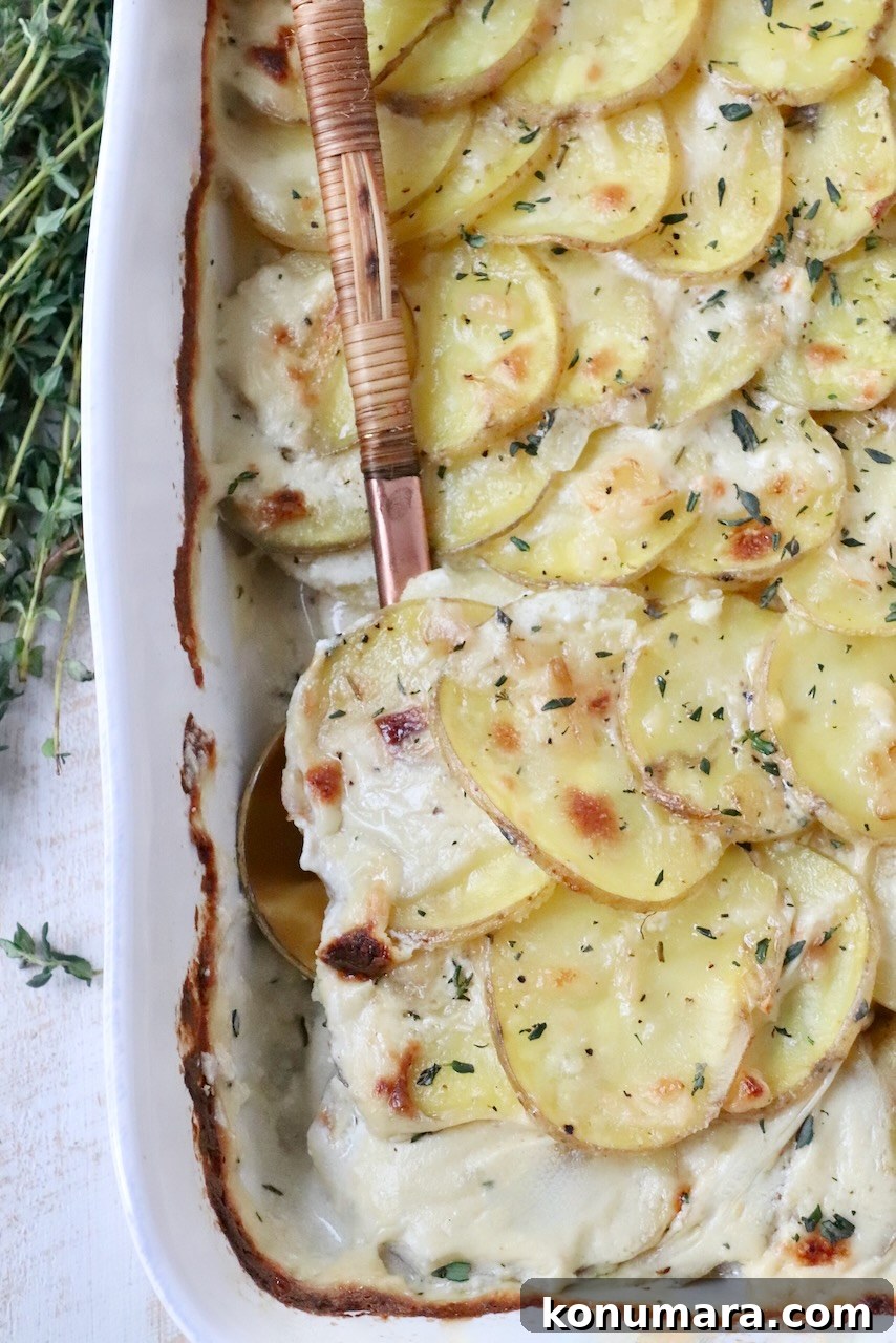 Creamy Garlic and Cheese Scalloped Potatoes Recipe 10 cooked scalloped potatoes in baking dish with serving spoon