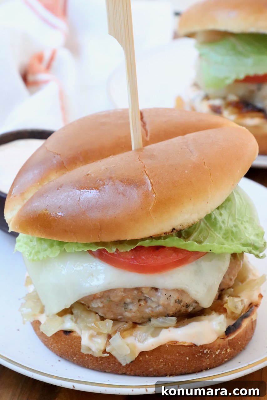 Juicy Turkey Burger Recipe with Savory Seasoning 2 turkey burger on plate