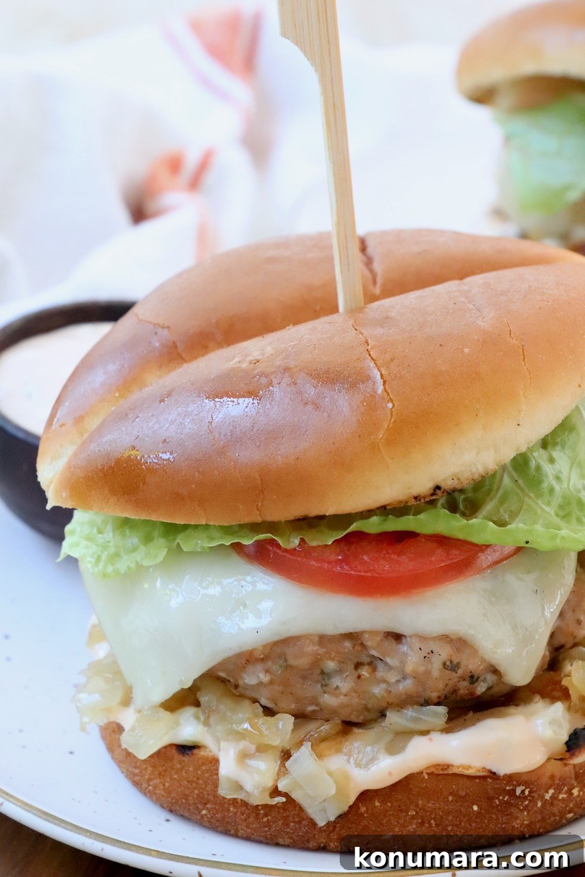 Juicy Turkey Burger Recipe with Savory Seasoning 9 prepared turkey burger with swiss cheese on plate