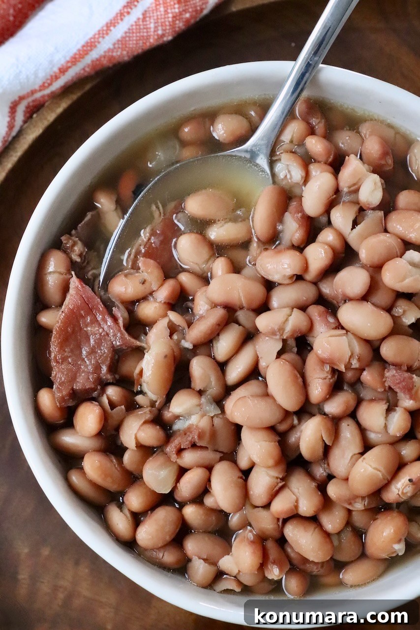 cooked pinto beans in bowl with spoon