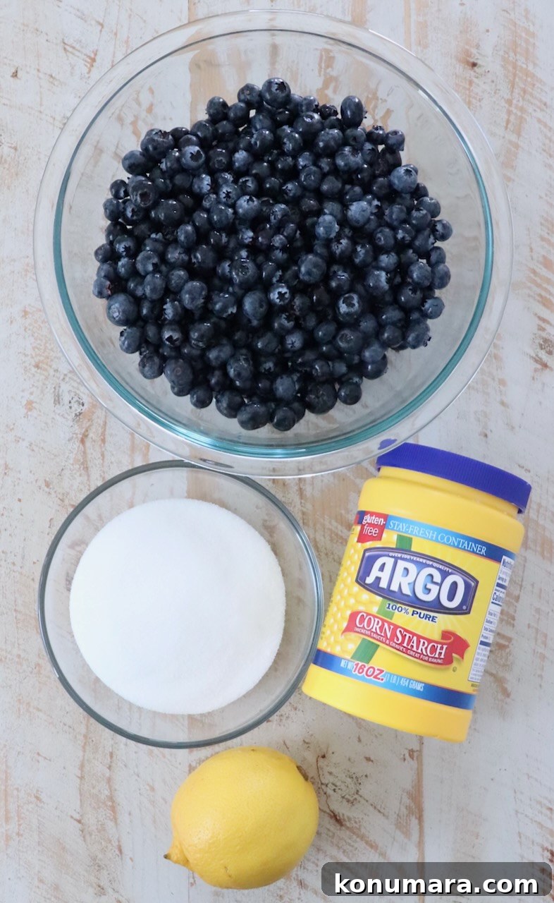 How to Make Homemade Blueberry Pie Filling 3 ingredients in blueberry pie filling