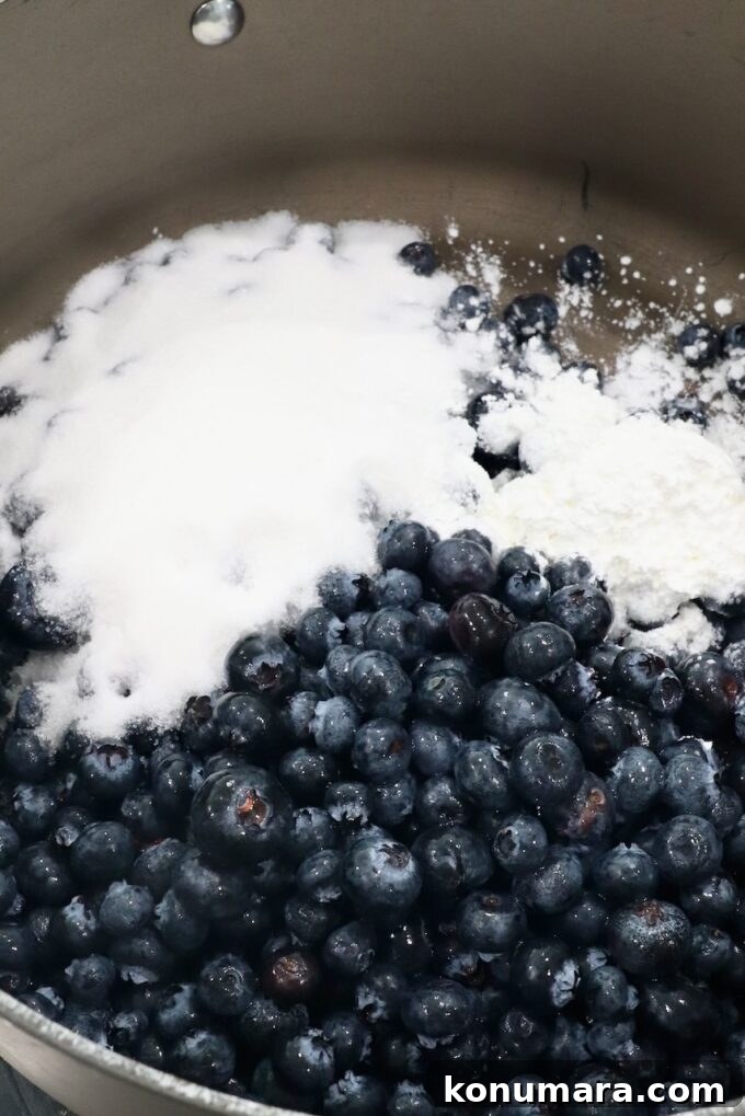 How to Make Homemade Blueberry Pie Filling 4 fresh blueberries and sugar in large pan