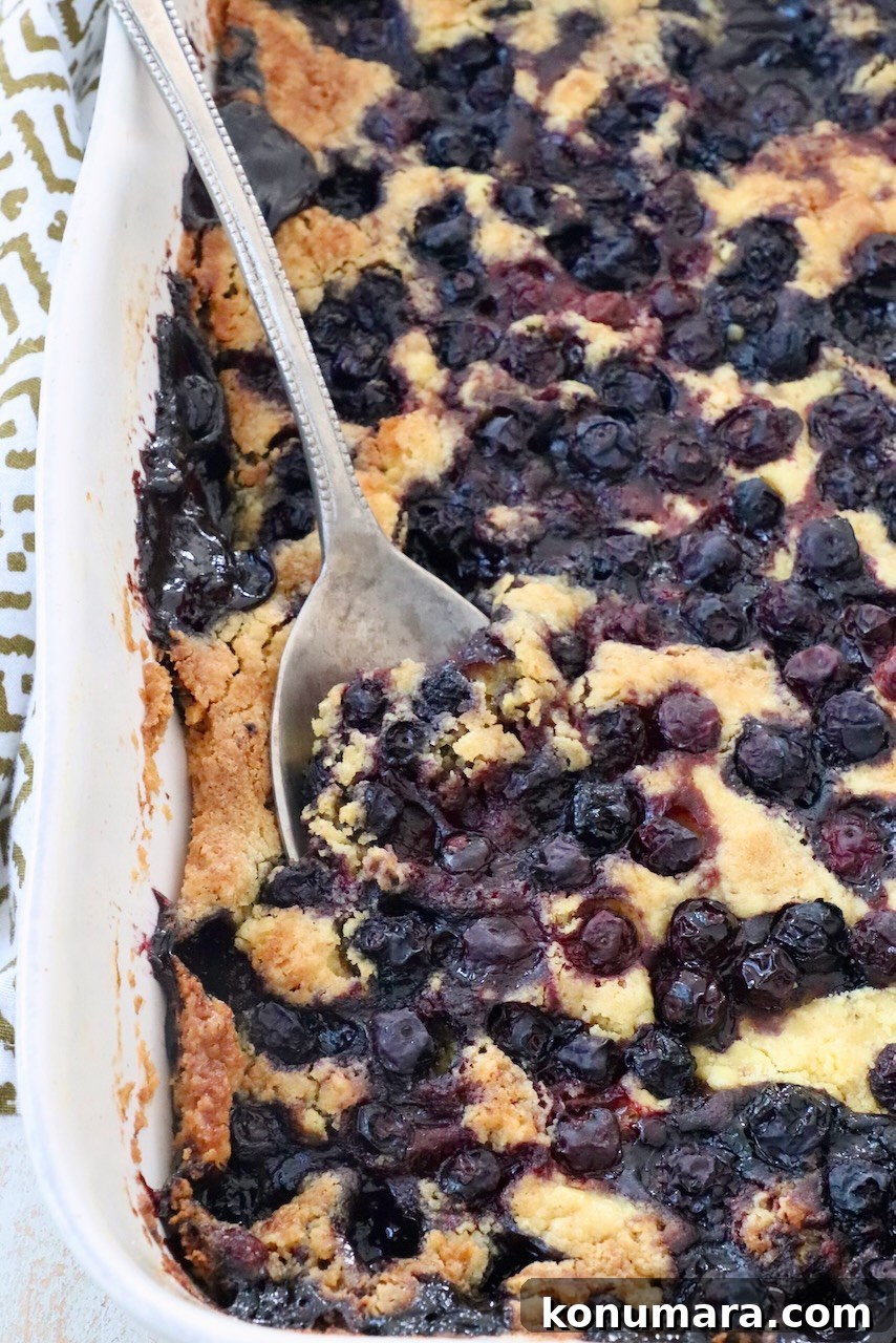 Blueberry Dump Cake Recipe: Irresistible Summer Dessert 9 blueberry dump cake in baking dish with serving spoon