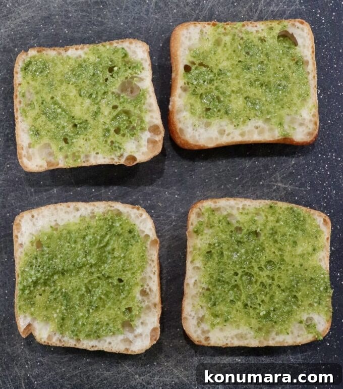 Grilled Turkey Pesto Sandwich with Melted Mozzarella 4 basil pesto spread on ciabatta rolls