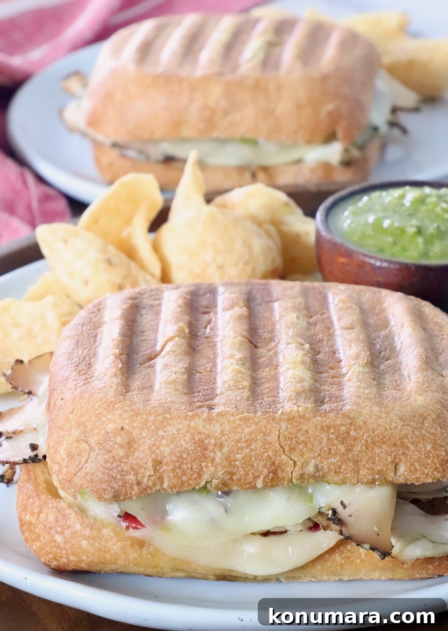Grilled Turkey Pesto Sandwich with Melted Mozzarella 8 turkey panini sandwich on plate with chips