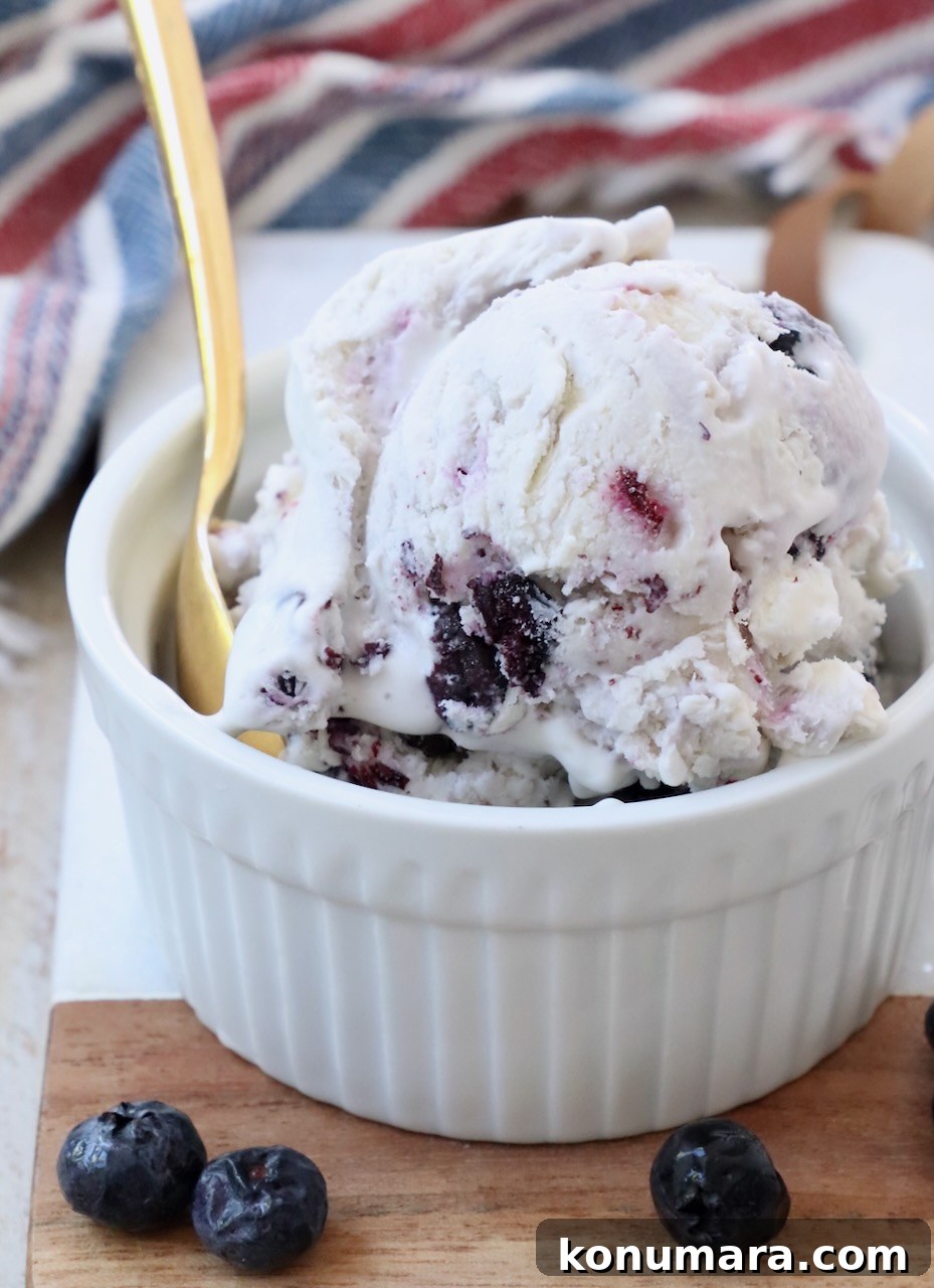 Creamy Homemade Blueberry Ice Cream Recipe 2 scoops of blueberry ice cream in a small bowl with a gold spoon