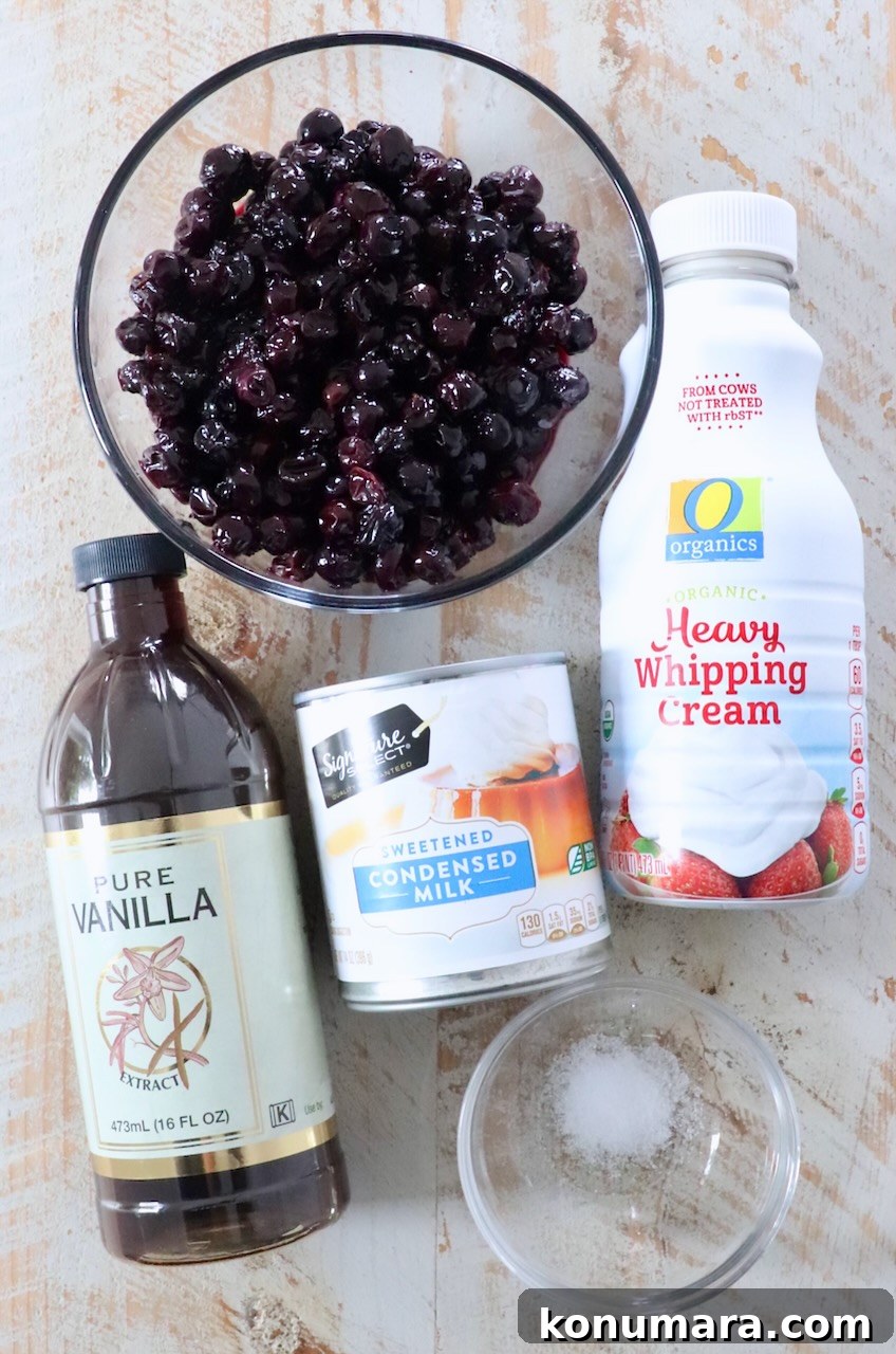 Creamy Homemade Blueberry Ice Cream Recipe 3 ingredients for blueberry ice cream on white wood board