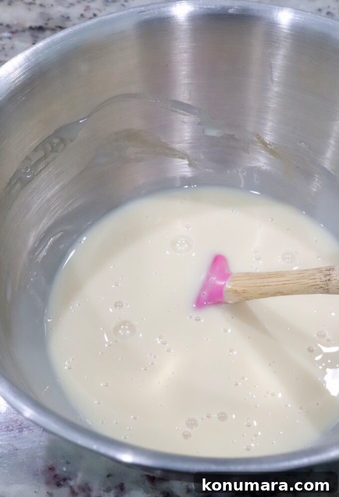 Creamy Homemade Blueberry Ice Cream Recipe 4 sweetened condensed milk and vanilla mixed together in a bowl