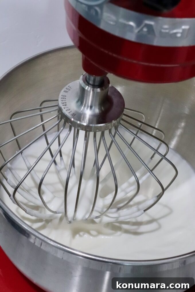 Creamy Homemade Blueberry Ice Cream Recipe 5 heavy cream in stand mixer with whisk attachment
