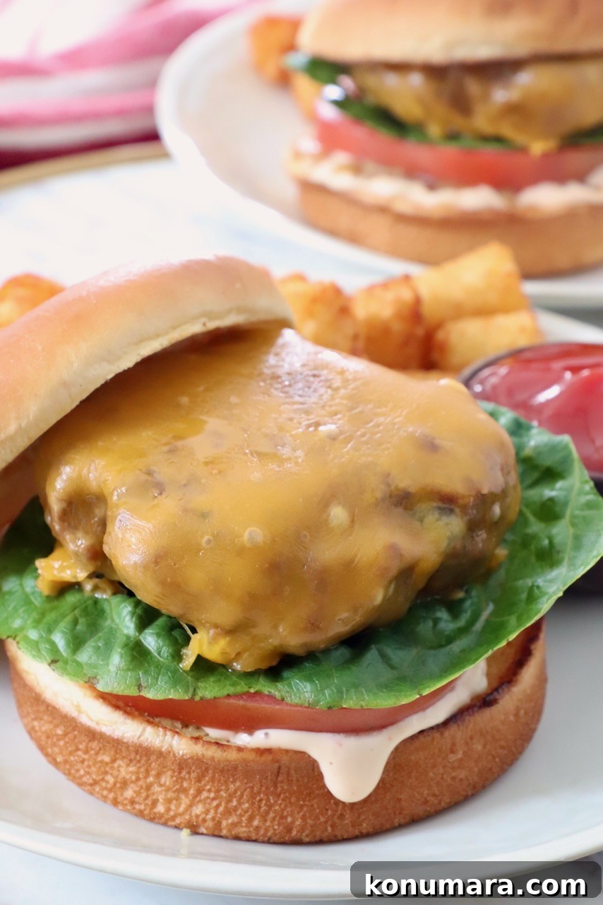 cheeseburger on bun with lettuce, tomato and burger sauce