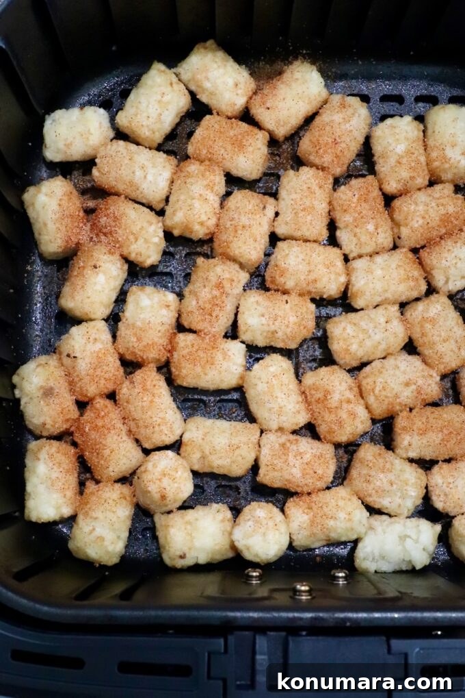 seasoned frozen tater tots in an air fryer basket