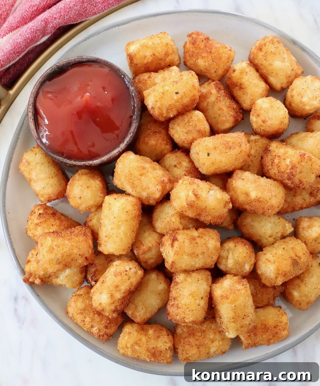cooked seasoned tater tots on plate with small bowl of ketchup