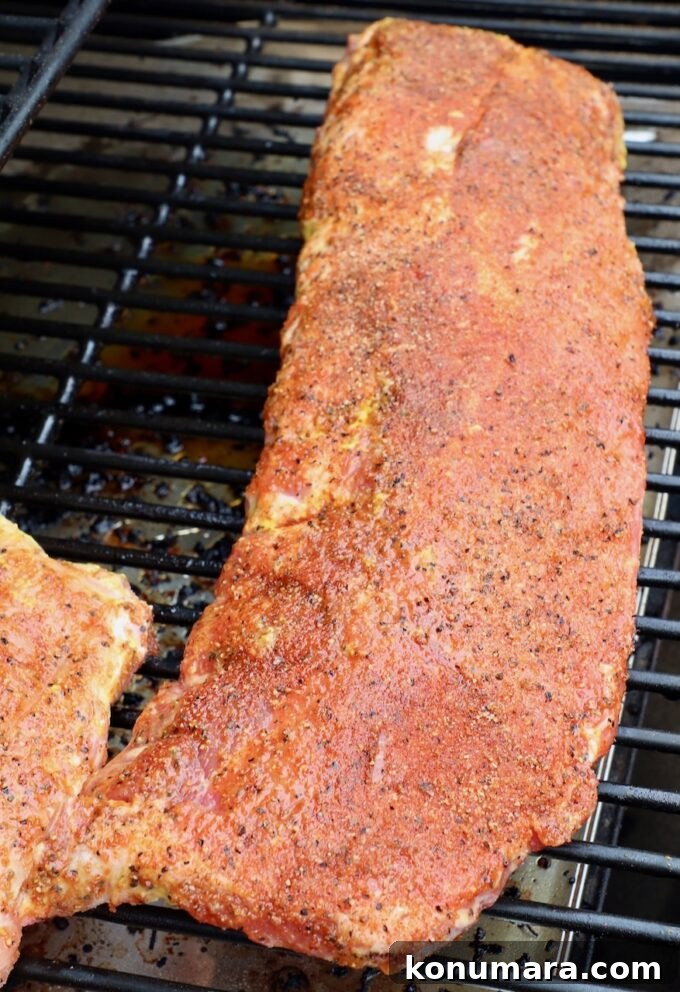 seasoned baby back ribs on smoker