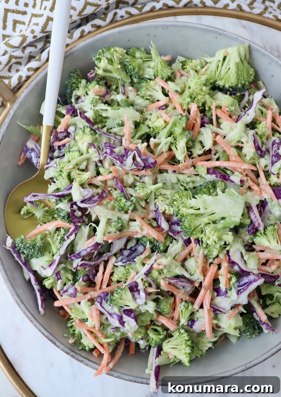 Crunchy Broccoli Slaw Recipe with Creamy Dressing 2 broccoli slaw in bowl with spoon