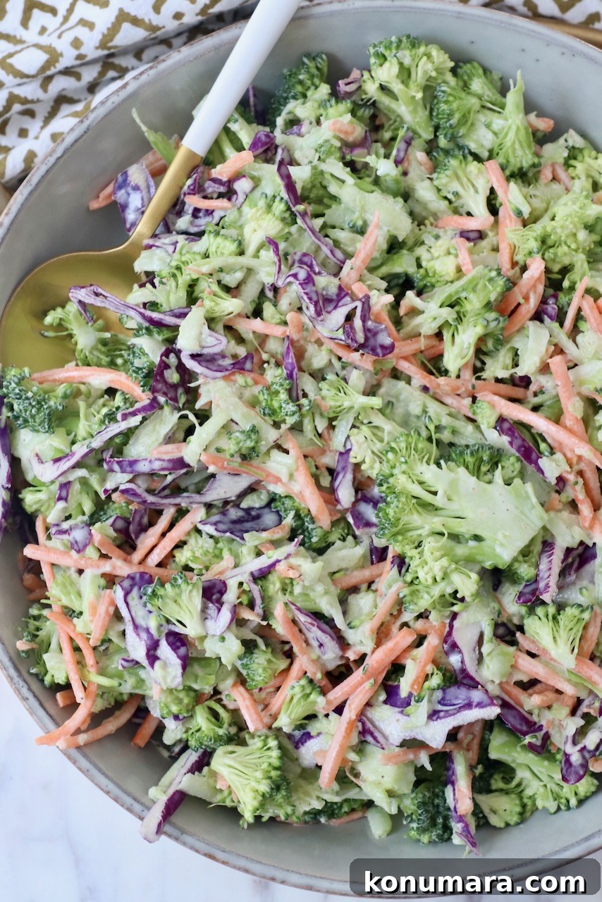 Crunchy Broccoli Slaw Recipe with Creamy Dressing 11 broccoli slaw in bowl with spoon