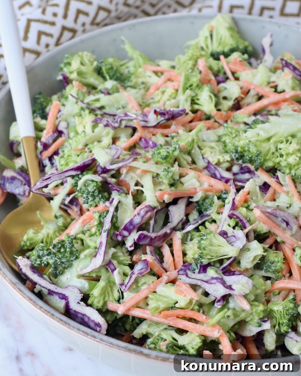 Crunchy Broccoli Slaw Recipe with Creamy Dressing 10 broccoli slaw in bowl with spoon