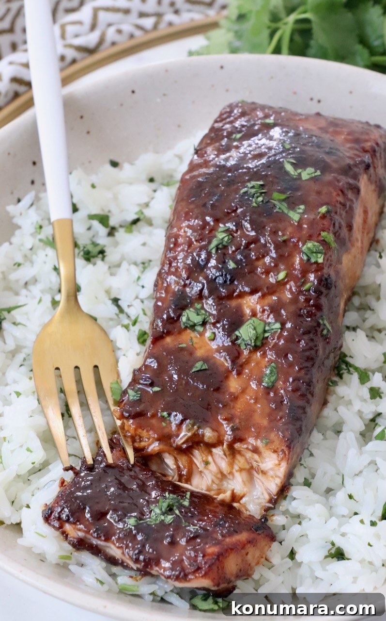 Garlic-Lemon Marinade for Salmon 2 cooked glazed piece of salmon on top of rice in bowl with fork