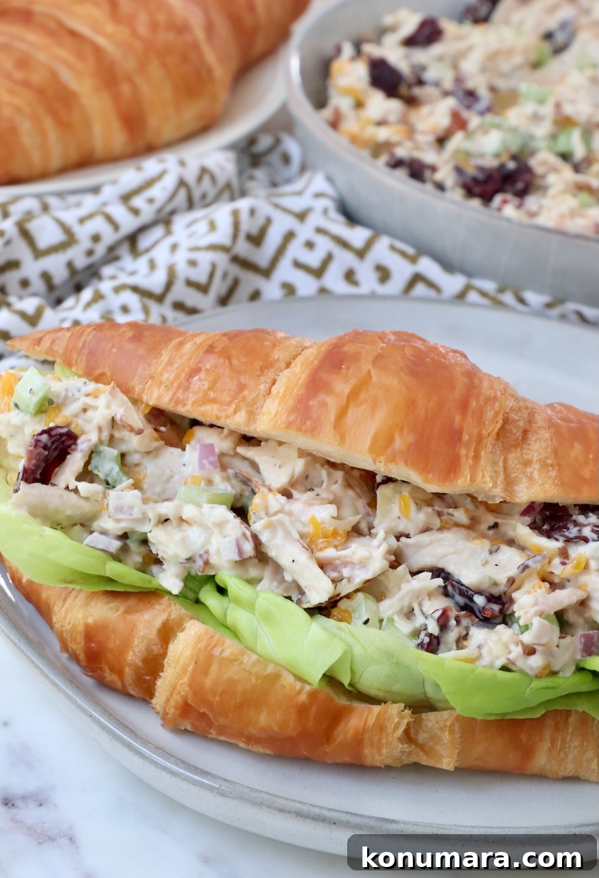 Classic Creamy Chicken Salad with Celery and Fresh Herbs 6 chicken salad with lettuce on croissant