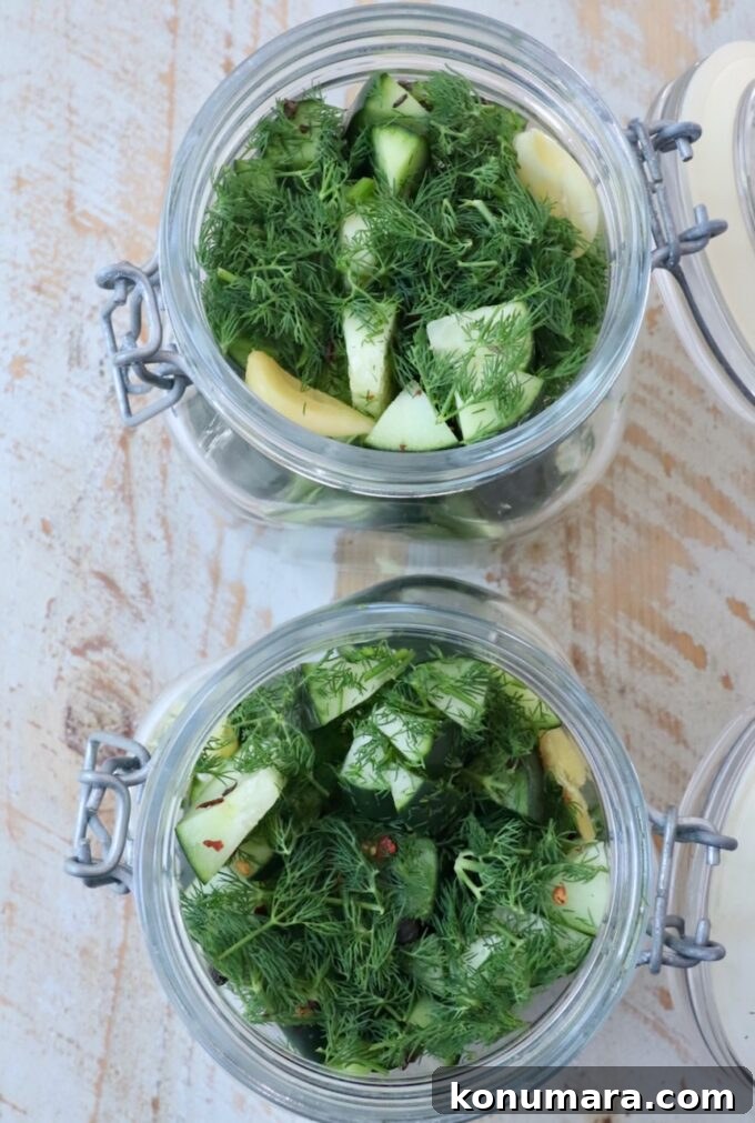 How to Make Homemade Pickles: Classic Refrigerator Recipe 4 cucumber spears in glass jars with fresh dill and garlic