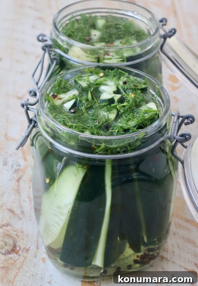 How to Make Homemade Pickles: Classic Refrigerator Recipe 5 cucumber spears in glass jars with fresh dill, garlic and brining liquid