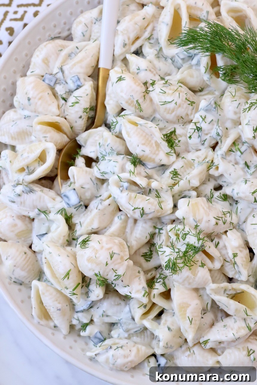 Creamy Tangy Pickle Pasta Salad 7 creamy pasta salad in bowl topped with fresh dill