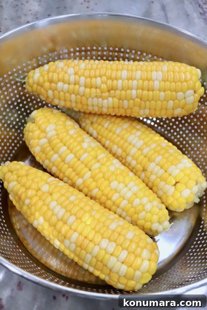 Cooked corn on the cob in strainer