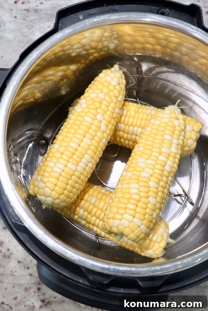 Uncooked ears of corn in an Instant Pot