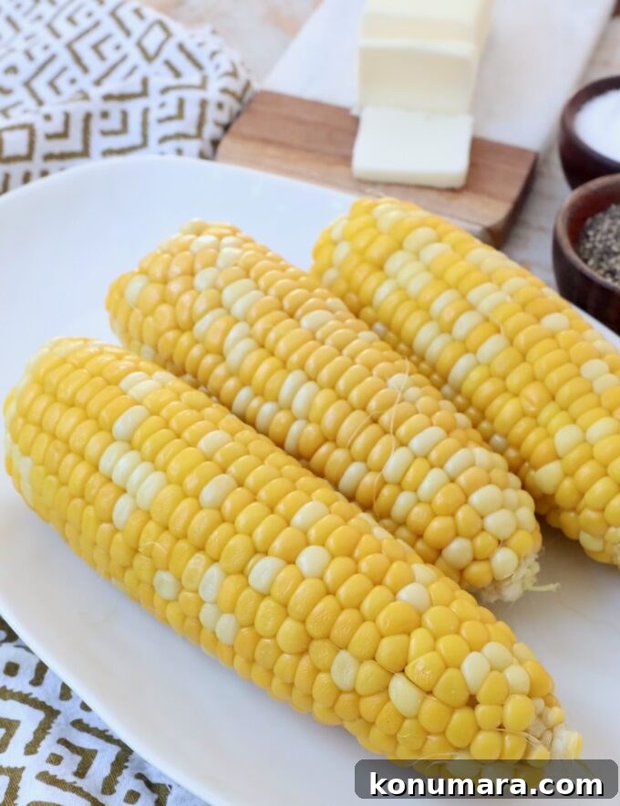 Cooked corn on the cob on plate