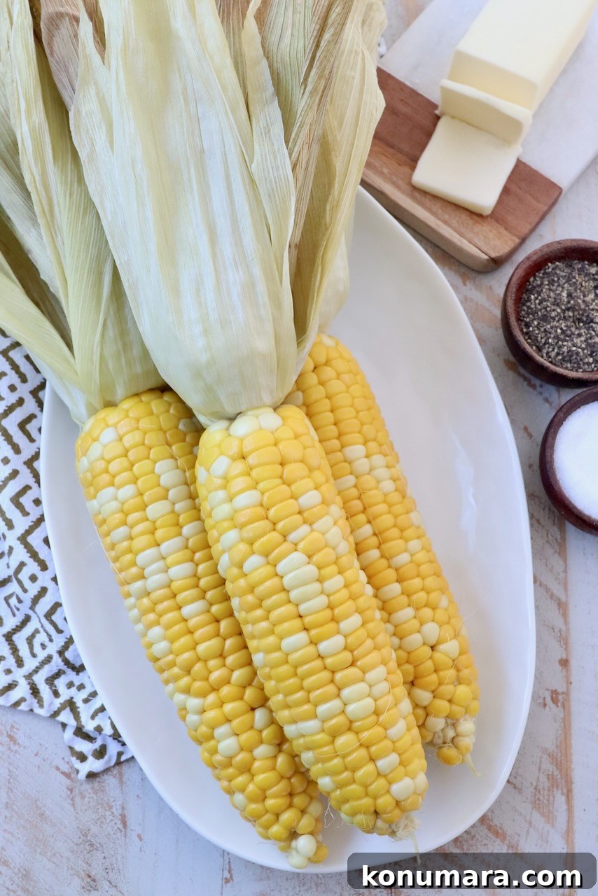 Cooked corn on the cob on plate