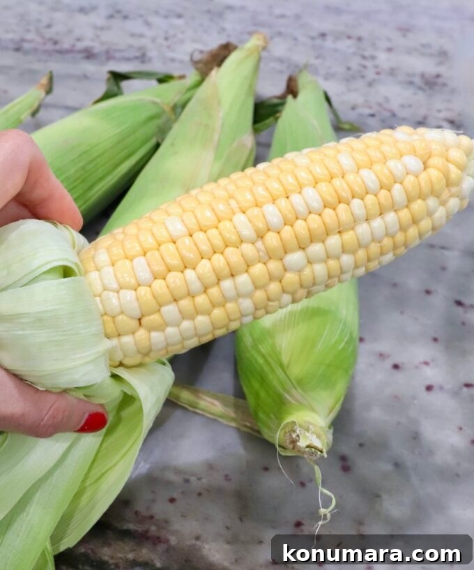 Shucked corn on the cob with the husks still attached