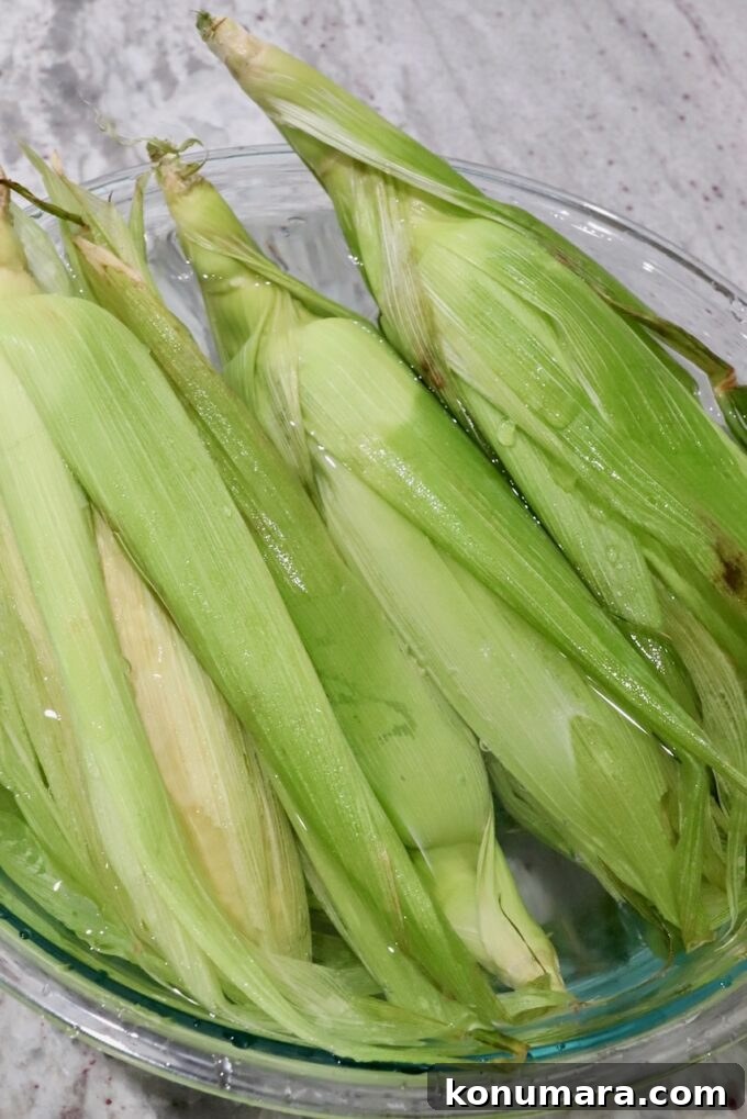 Soaked corn on the cob in bowl of water