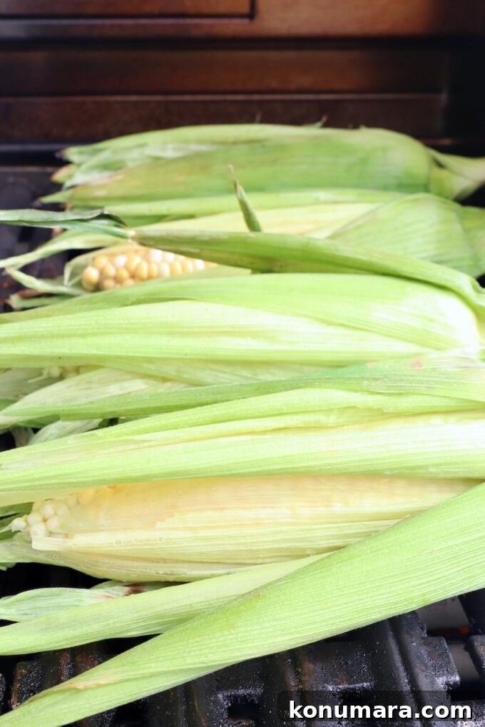 Corn on the cob in husks on the grill