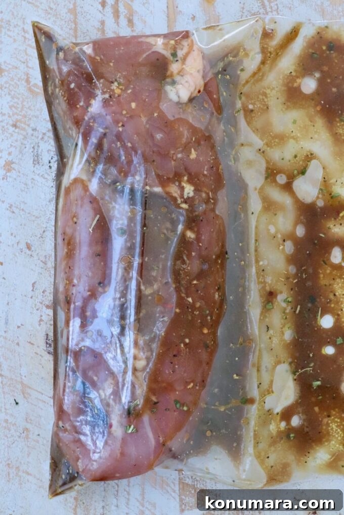 Savory Pork Tenderloin Marinade for Tender, Juicy Meat 4 pork tenderloin in marinade in zipper bag