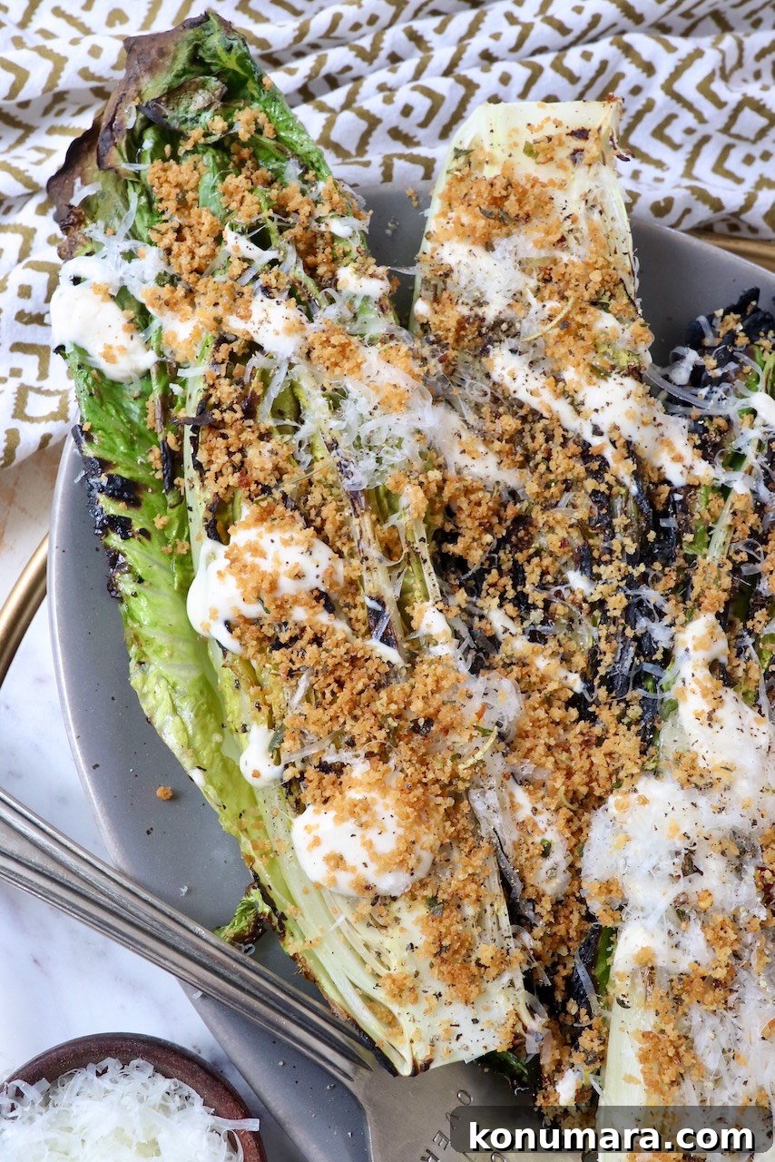 Grilled Caesar Salad with Charred Romaine and Garlic Croutons 2 grilled caesar salad on large serving plate