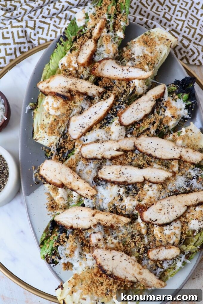 Grilled Caesar Salad with Charred Romaine and Garlic Croutons 15 grilled caesar salad on platter topped with sliced grilled chicken