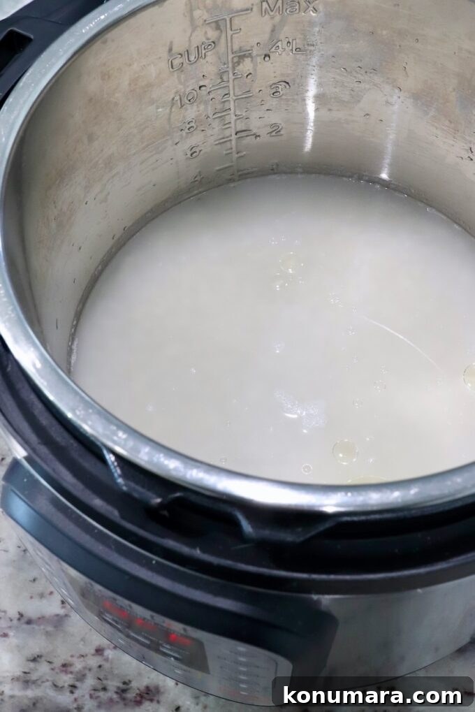white rice in instant pot with water