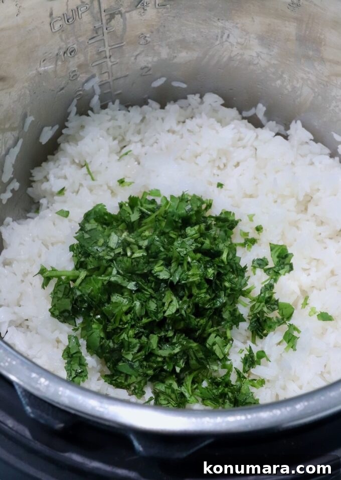 cooked white rice in instant pot with fresh cilantro