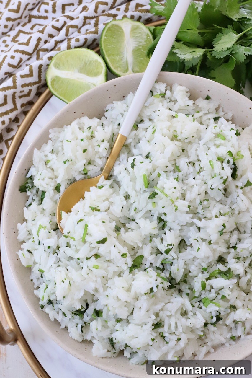 cooked white rice mixed with cilantro in bowl with spoon