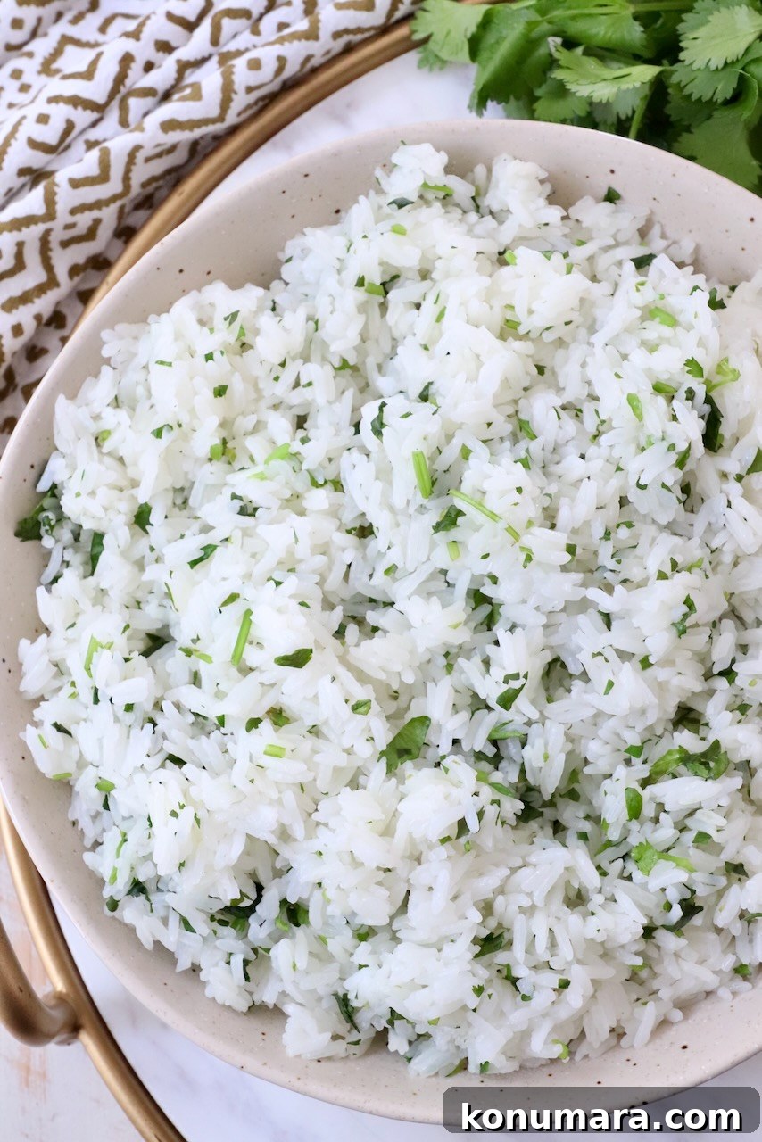 cilantro lime rice in bowl