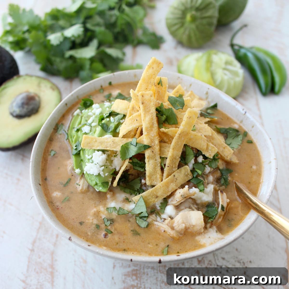 Creamy Green Chili Chicken Enchilada Soup Recipe 4 Green Chili Chicken Enchilada Soup topped with tortilla strips in a bowl.