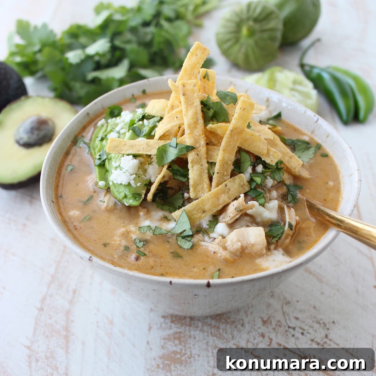 Creamy Green Chili Chicken Enchilada Soup Recipe 6 Green Chili Chicken Enchilada Soup in a bowl topped with tortilla strips.