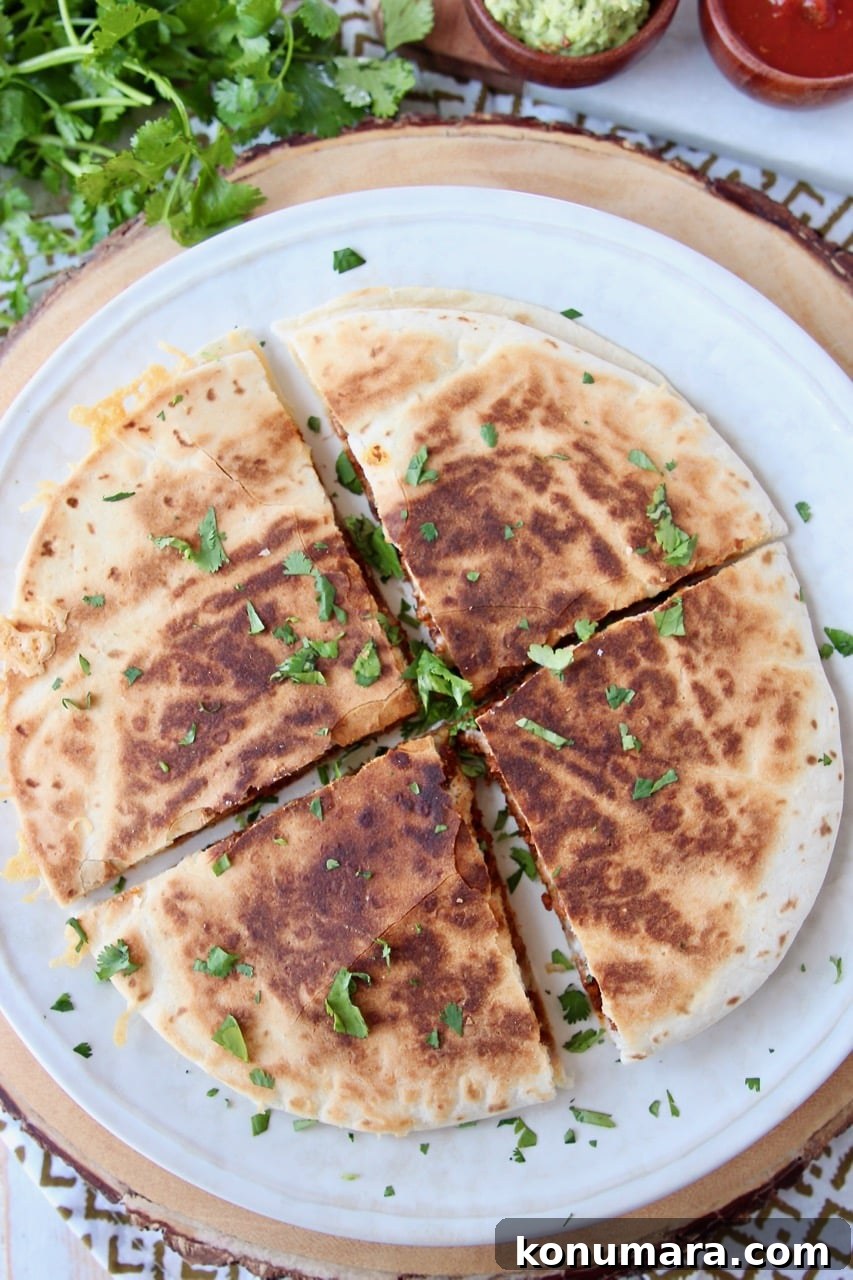 Soy Chorizo Quesadilla Recipe: Crispy Cheese Tortilla 4 Overhead shot of quesadilla on plate cut into quarters
