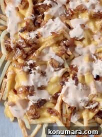 Animal Style Fries